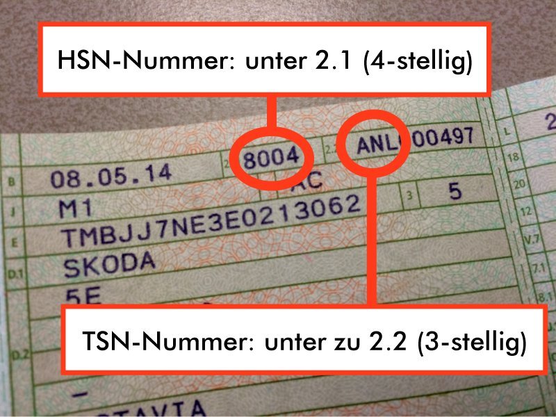 HSN TSN Erklärung